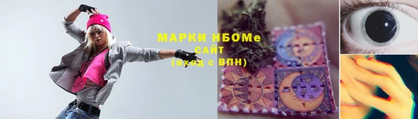шишки Краснослободск