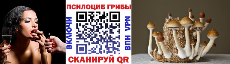 Псилоцибиновые грибы Magic Shrooms  блэк спрут сайт  Алапаевск 